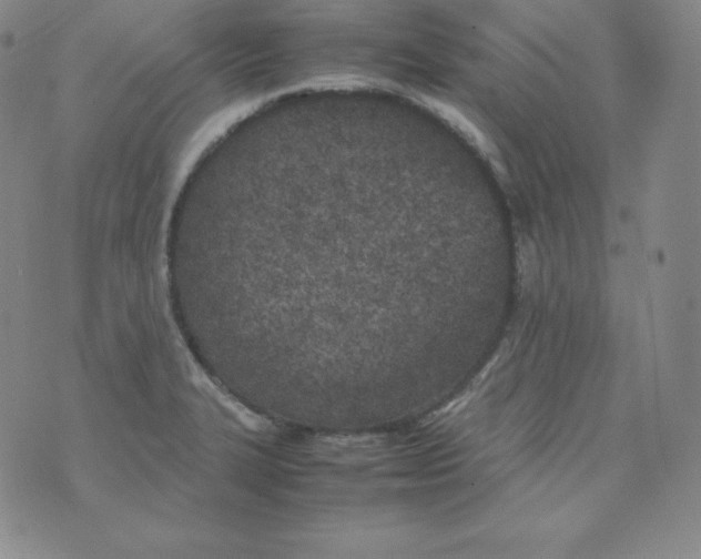 X0000074311327200609151957