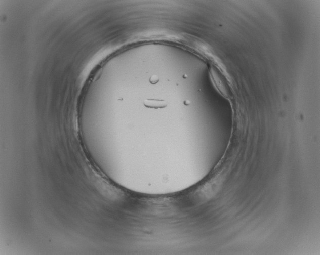 X0000074311328200609151957