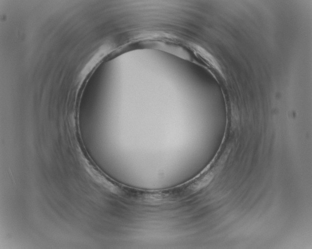 X0000074311330200609151957