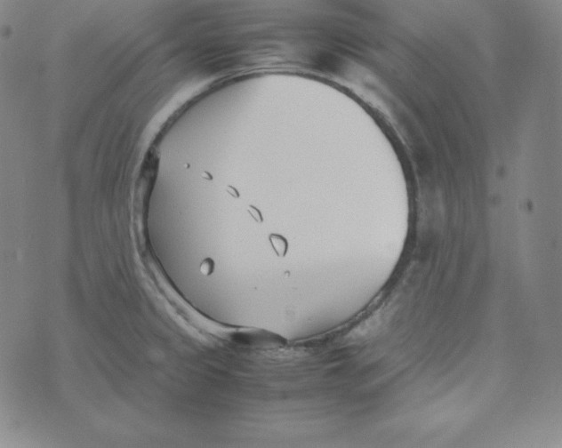 X0000074311333200609151957