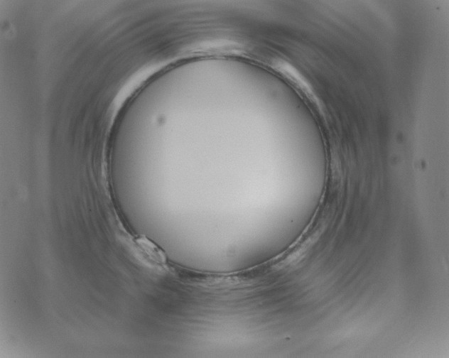 X0000074311336200609151957