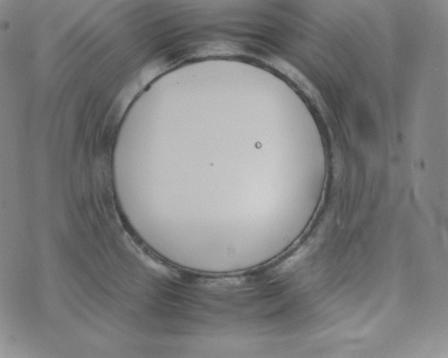 X0000074311337200609151957