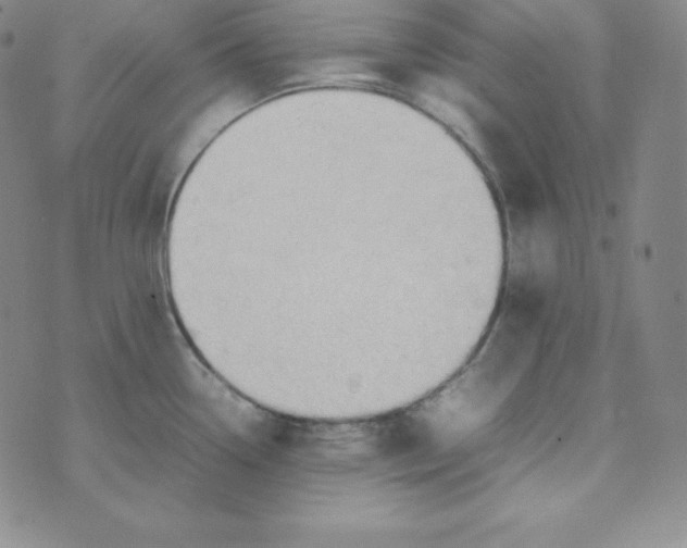 X0000074311338200609151957