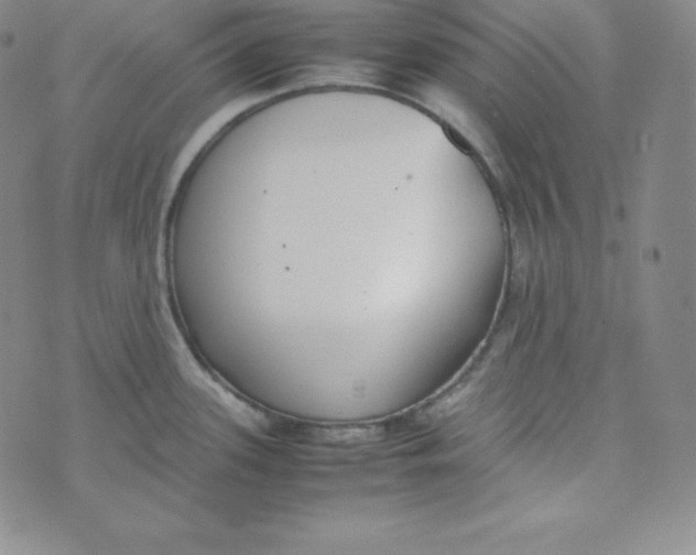 X0000074311339200609151957