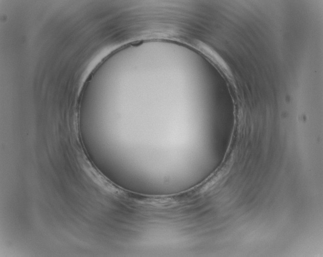 X0000074311340200609151957