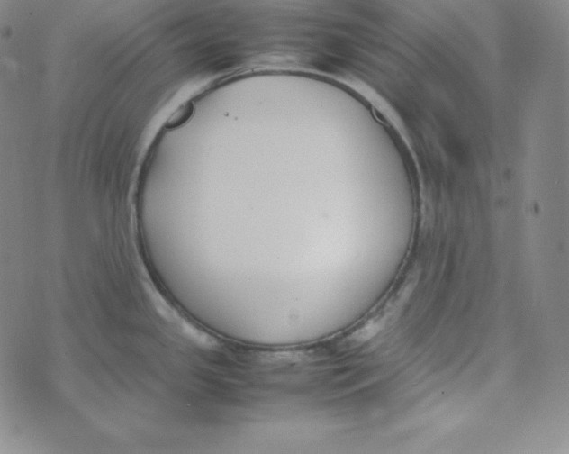 X0000074311341200609151957