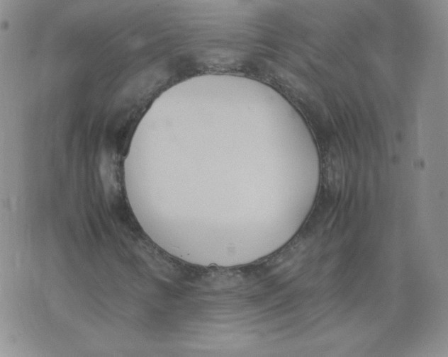 X0000074311346200609151956