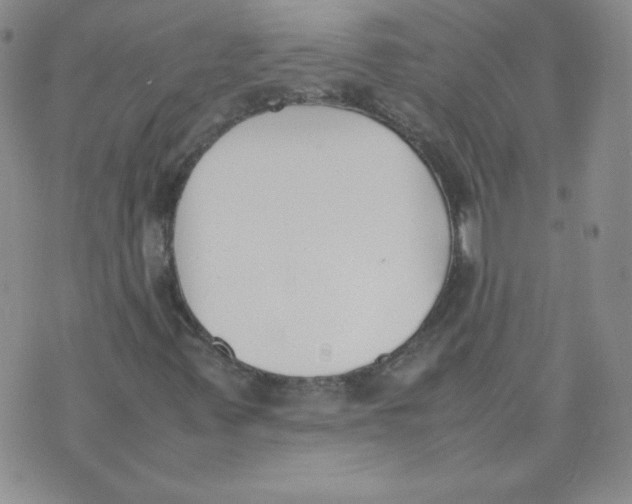 X0000074311347200609151956