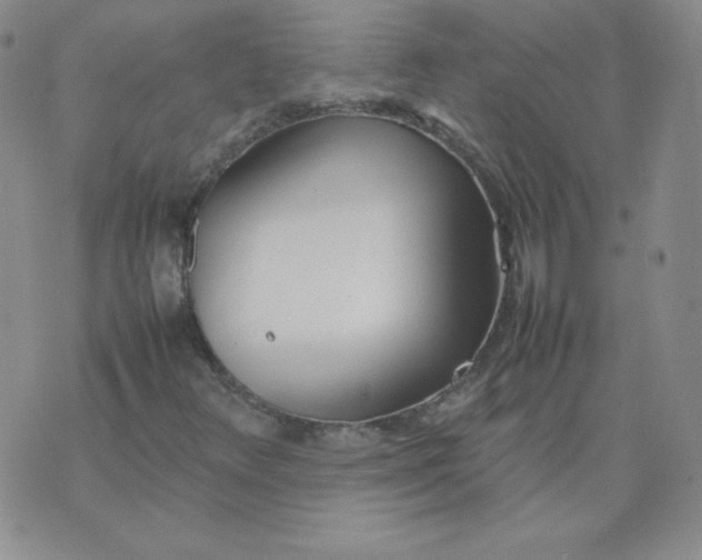 X0000074311348200609151956