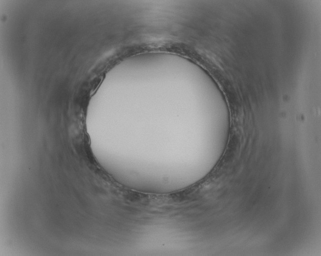 X0000074311349200609151956