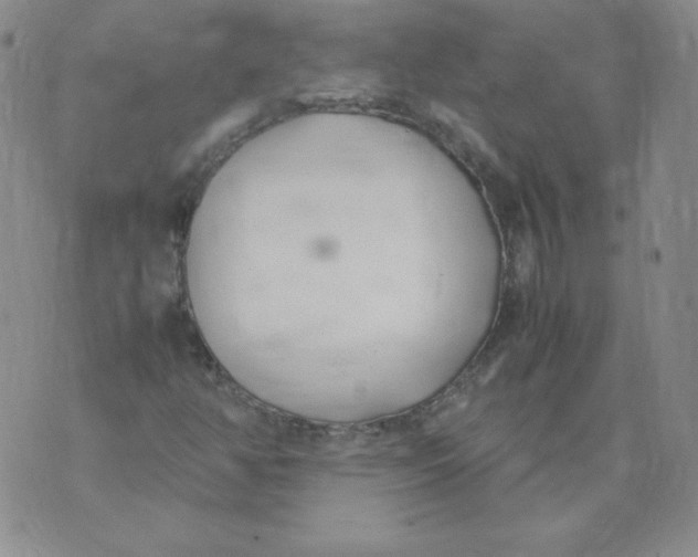 X0000074311350200609151956