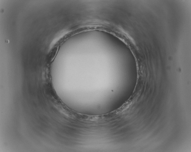 X0000074311352200609151956