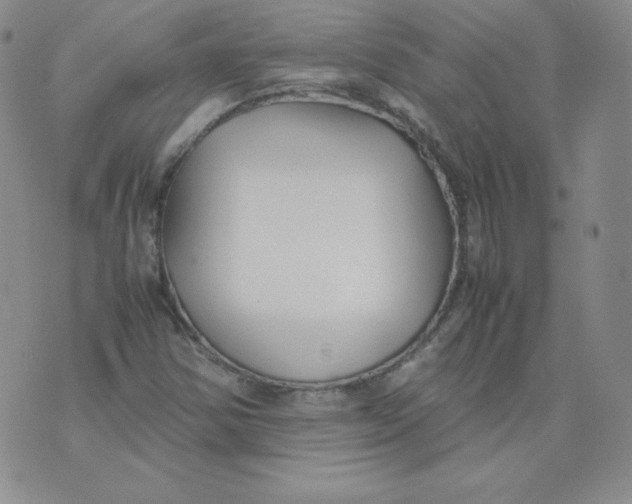 X0000074311354200609151956