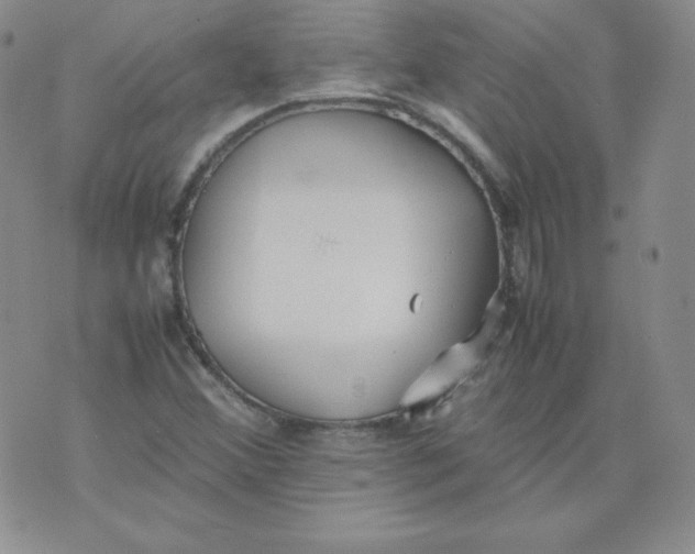 X0000074311356200609151956