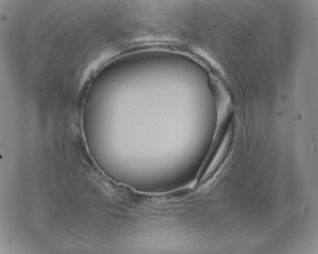 X0000074311357200609151956