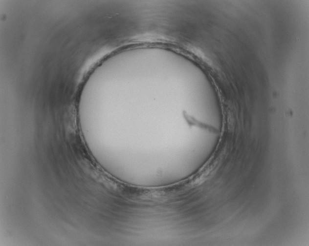 X0000074311358200609151956