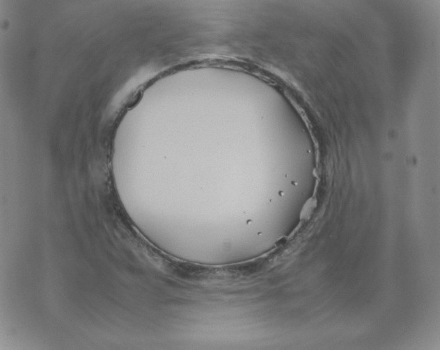 X0000074311359200609151956