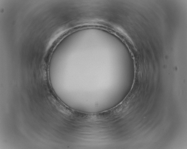 X0000074311360200609151956