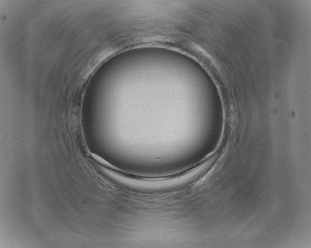 X0000074311361200609151956