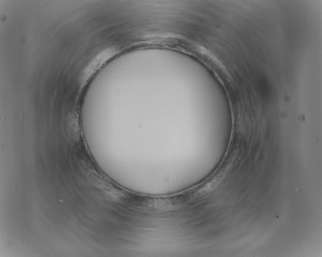 X0000074311362200609151956