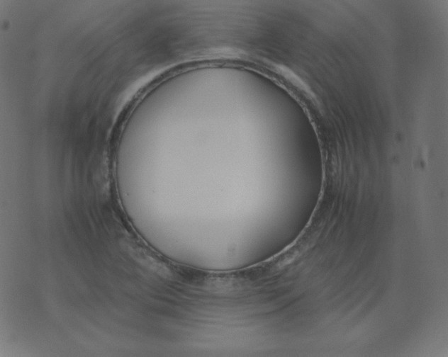 X0000074311364200609151956