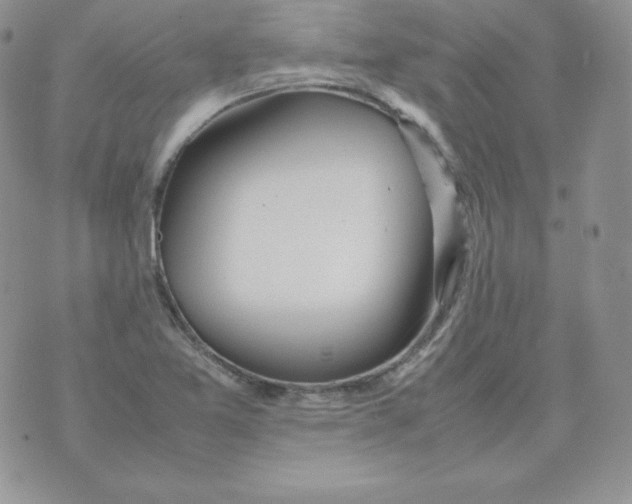 X0000074311365200609151956