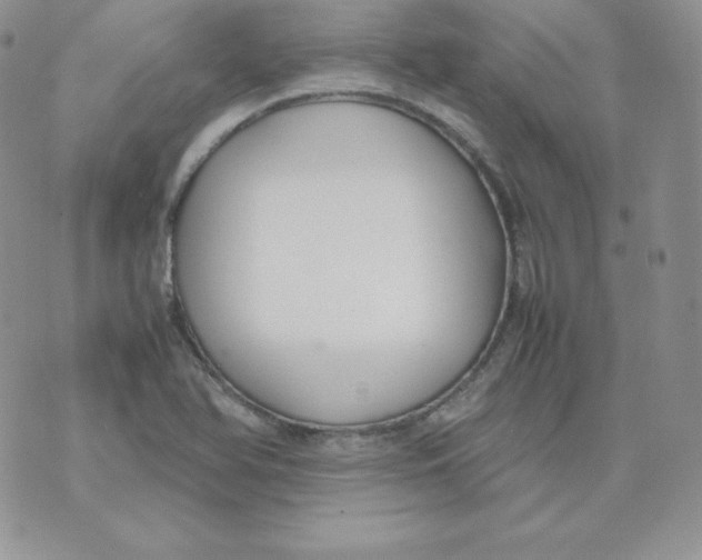 X0000074311366200609151956