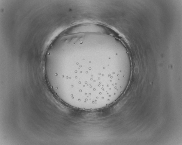 X0000074311367200609151956