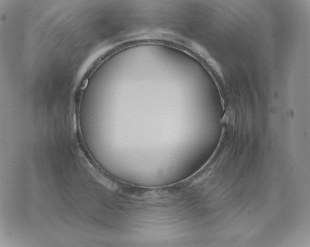 X0000074311368200609151956