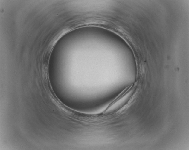 X0000074311369200609151956