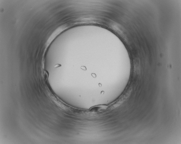 X0000074311370200609151956