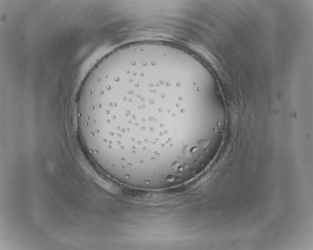 X0000074311371200609151956