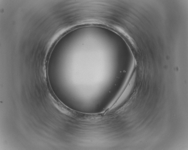 X0000074311372200609151956