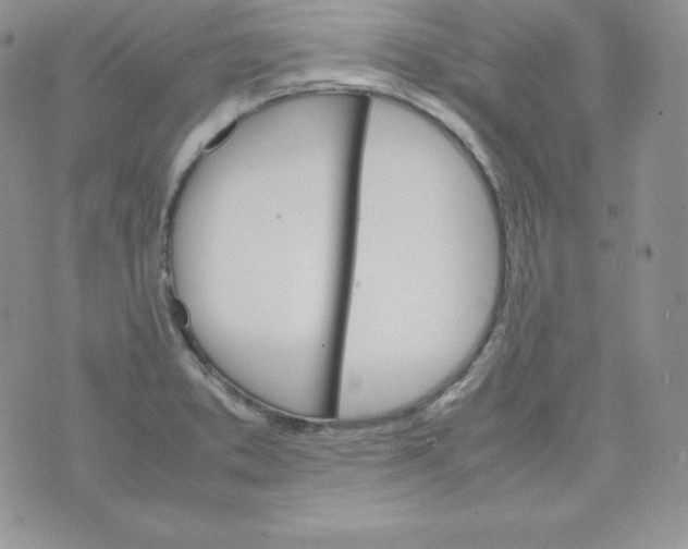 X0000074311373200609151956