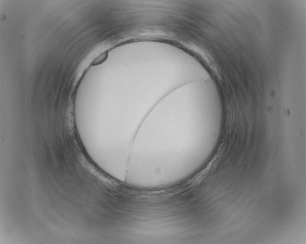 X0000074311374200609151956