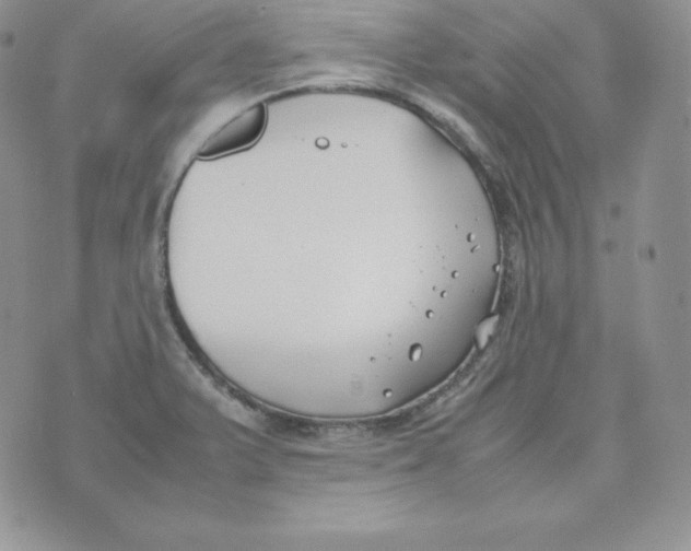 X0000074311375200609151956