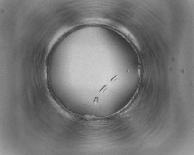 X0000074311376200609151956