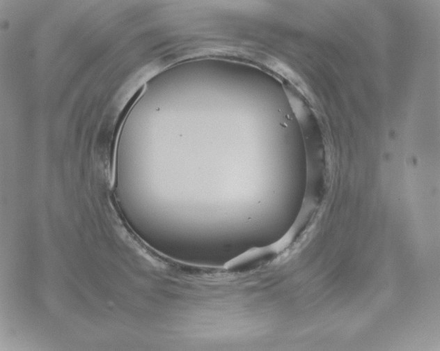 X0000074311377200609151956