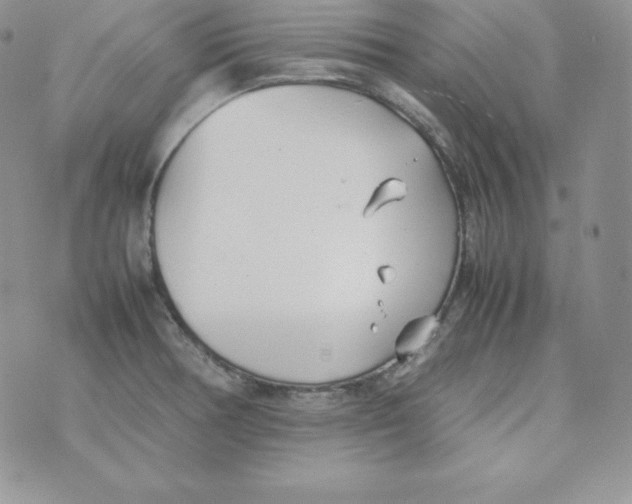 X0000074311378200609151956