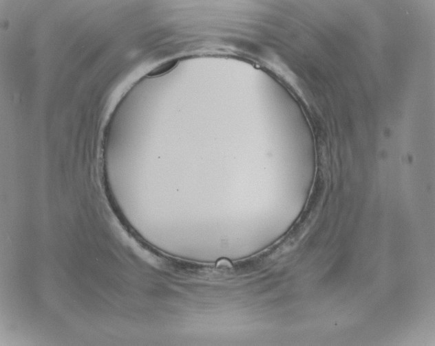 X0000074311379200609151956