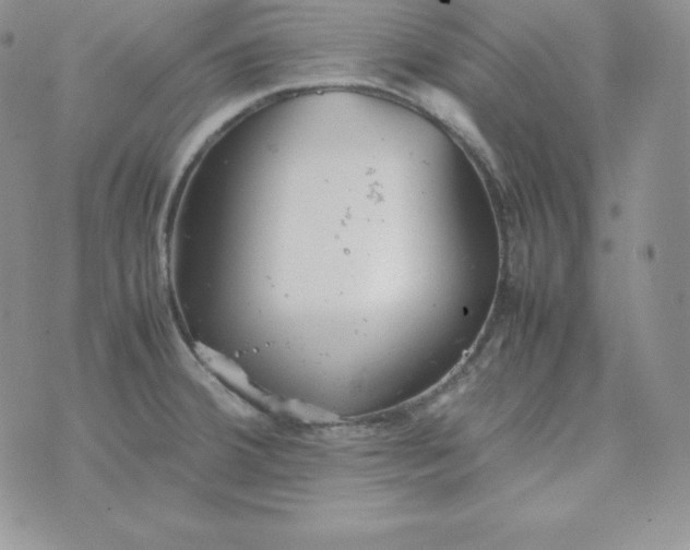 X0000074311380200609151956