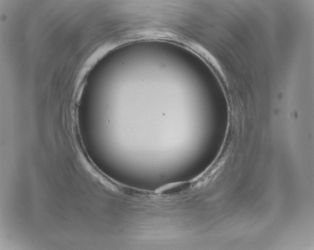 X0000074311381200609151956