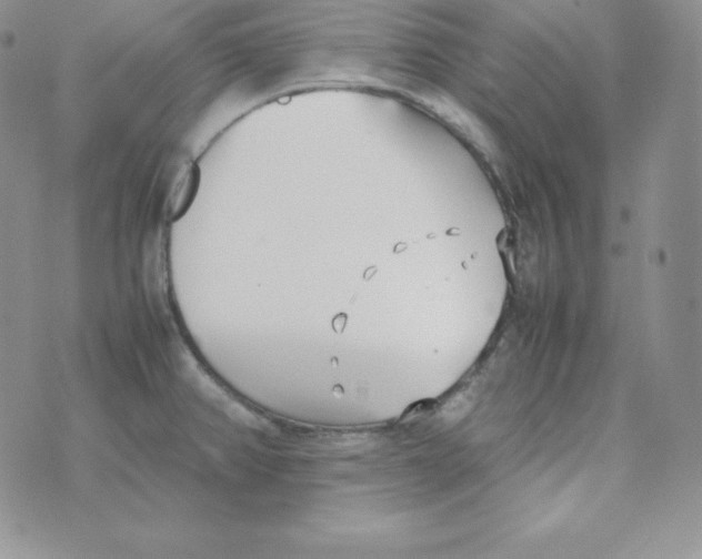 X0000074311382200609151956