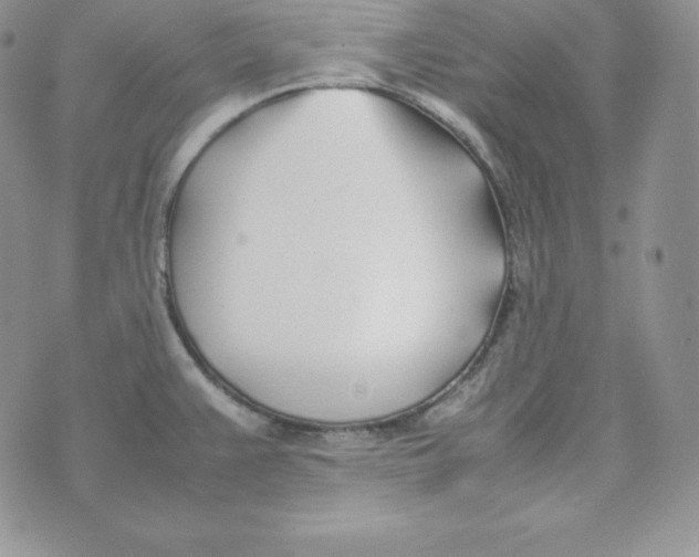 X0000074311383200609151956