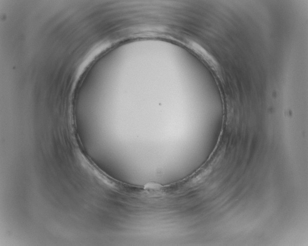 X0000074311384200609151956