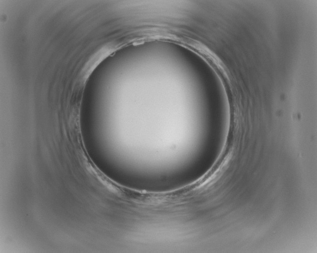 X0000074311385200609151956