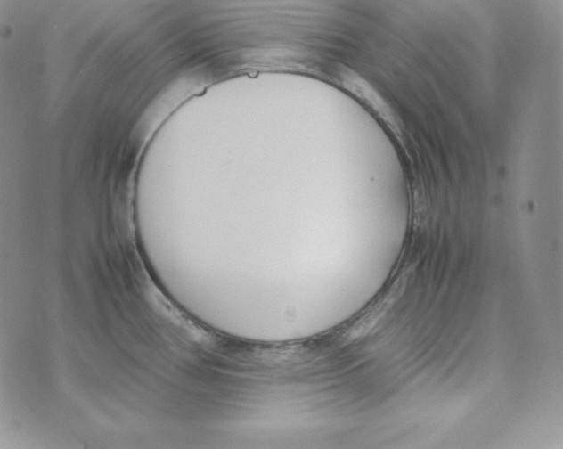 X0000074311386200609151956