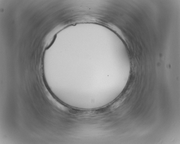 X0000074311387200609151956