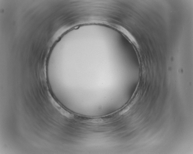 X0000074311388200609151956