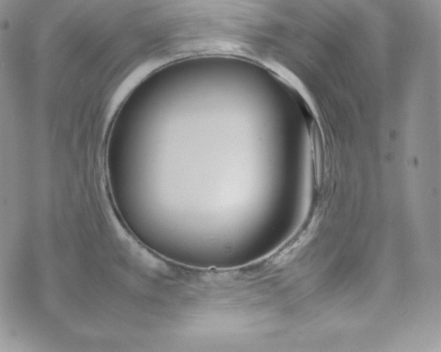 X0000074311389200609151956